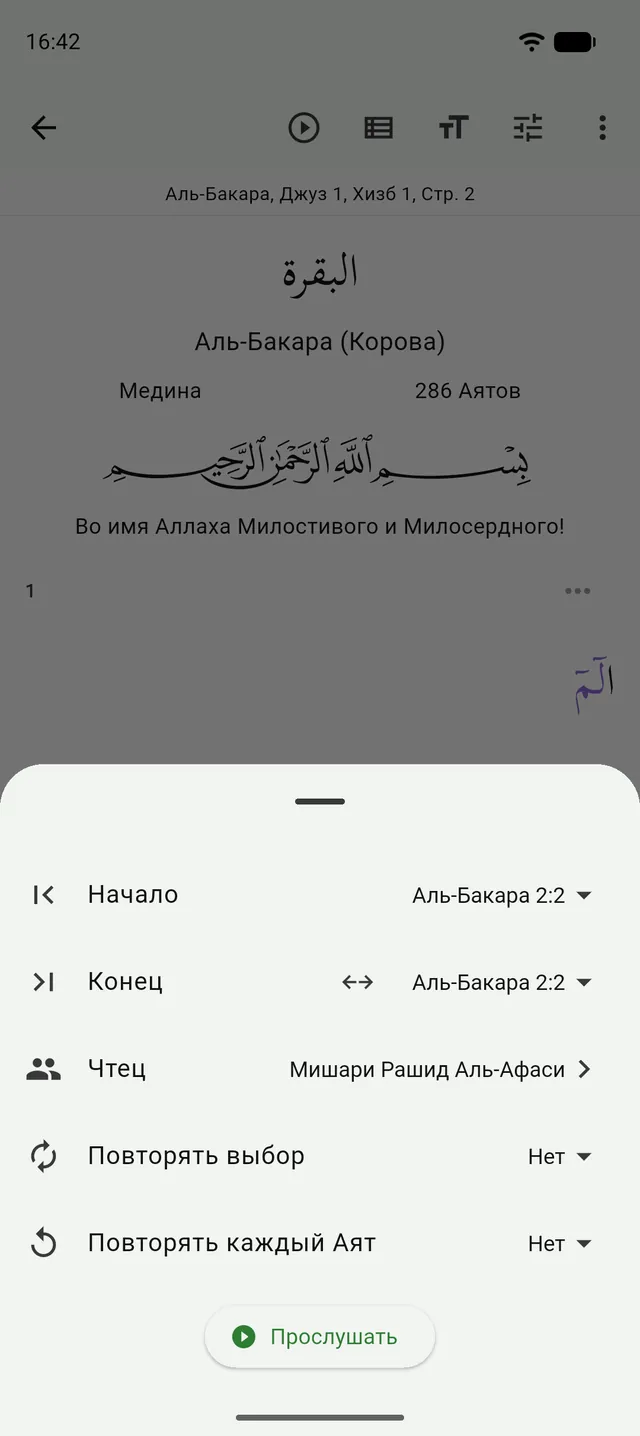 Окно чтения в Танзиле: диапазон, чтец и параметры повтора